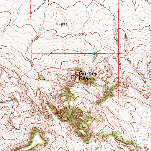 Topographic Map of Gurney Peak, WY