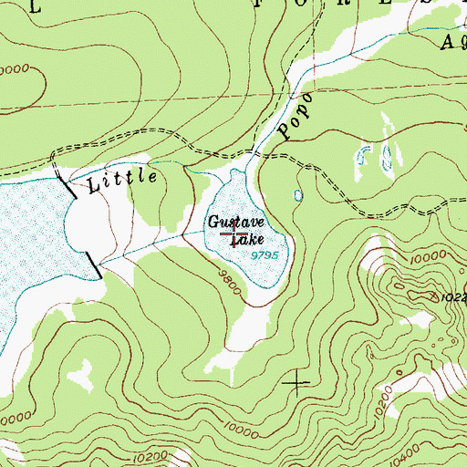 Topographic Map of Gustave Lake, WY