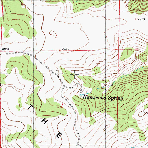 Topographic Map of Hammond Spring, WY