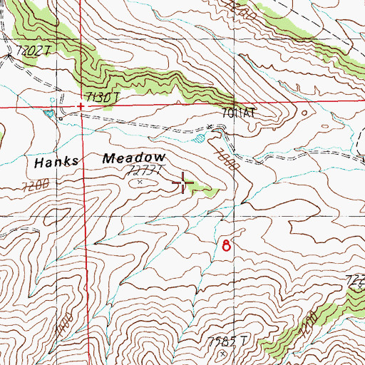 Topographic Map of Hanks Meadow, WY