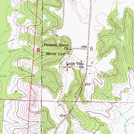 Topographic Map of White Cemetery, AL