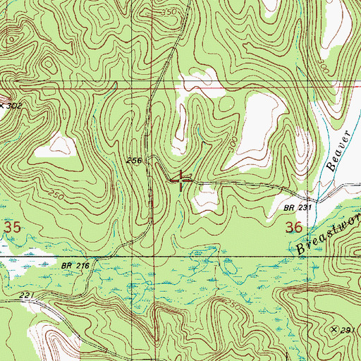 Topographic Map of Brestwork Creek, AL