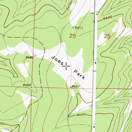 Topographic Map of Joes Park, WY