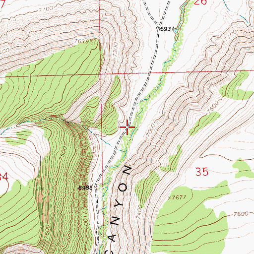 Topographic Map of Laney Canyon, WY