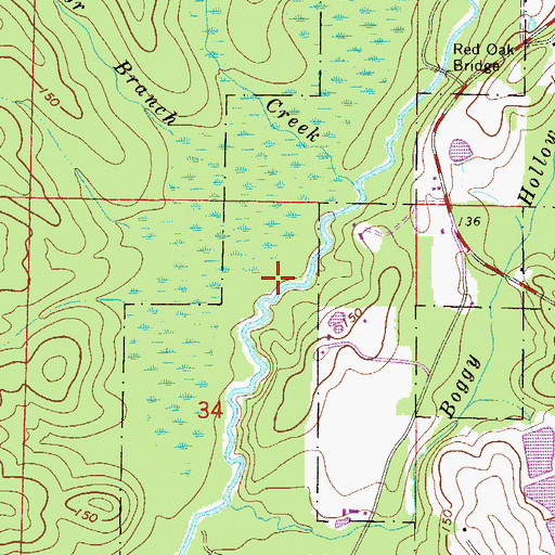 Topographic Map of Alligator Branch, FL