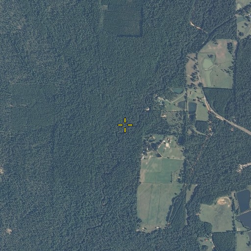 Aerial/Satellite Image of Alligator Branch, FL