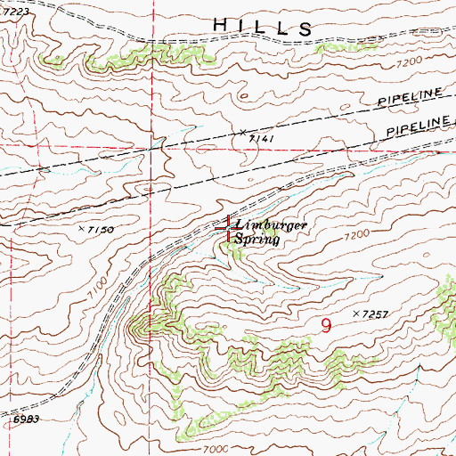 Topographic Map of Limburger Spring, WY