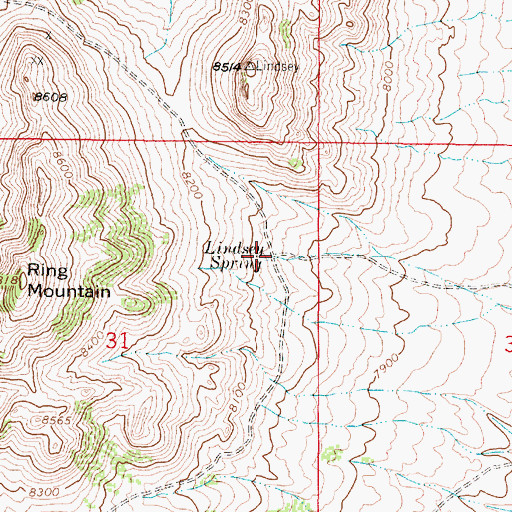 Topographic Map of Lindsey Spring, WY