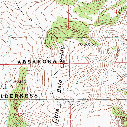 Topographic Map of Little Bald Ridge, WY