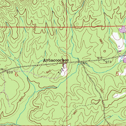 Topographic Map of Arbacoochee (historical), AL