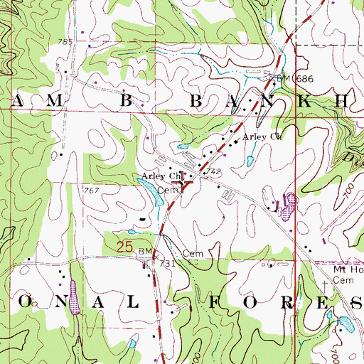 Topographic Map of Arley First Baptist Church, AL