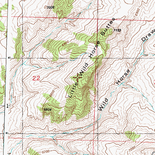 Topographic Map of Little Wild Horse Buttes, WY