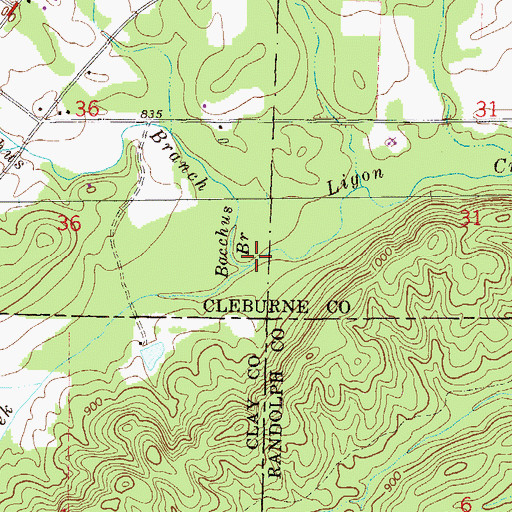 Topographic Map of Bacchus Branch, AL