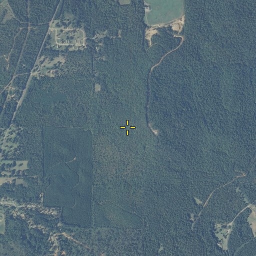 Aerial/Satellite Image of Bald Mountain, AL