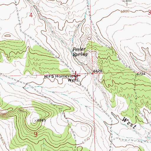 Topographic Map of M F S Homestead Wells, WY