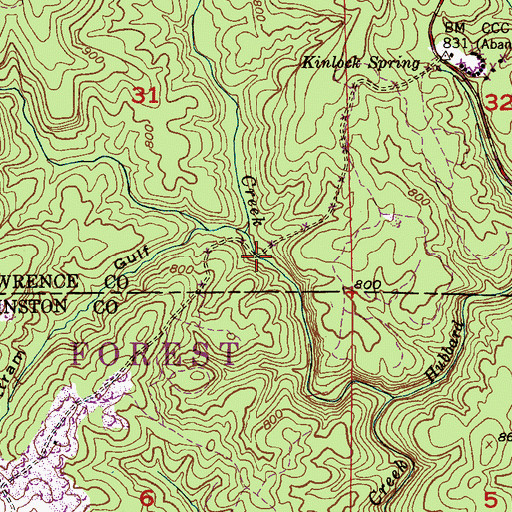 Topographic Map of Basin Creek, AL