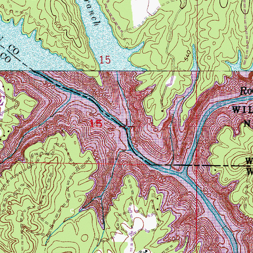 Topographic Map of Bear Branch, AL