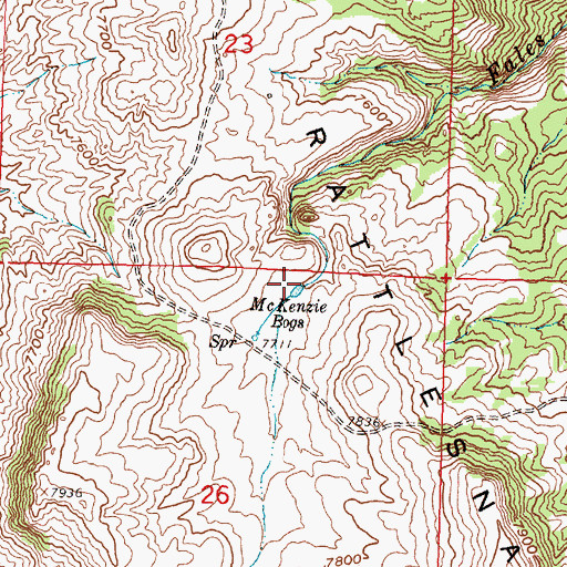 Topographic Map of McKenzie Bogs, WY