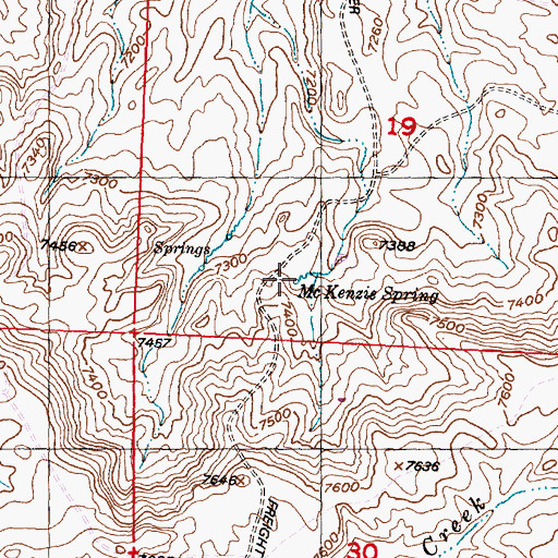Topographic Map of McKenzie Spring, WY