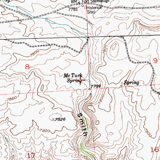 Topographic Map of McTurk Spring, WY