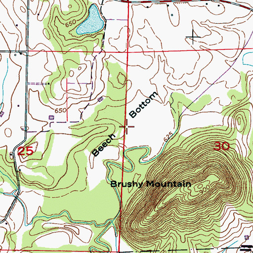 Topographic Map of Beech Bottom, AL