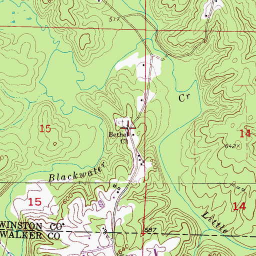 Topographic Map of Bethel Church, AL
