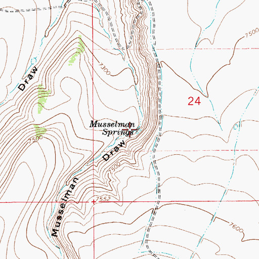Topographic Map of Musselman Springs, WY