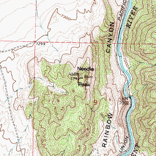 Topographic Map of Needle Peak, WY