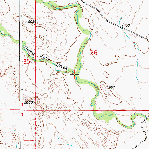 Topographic Map of Negro Baby Creek, WY