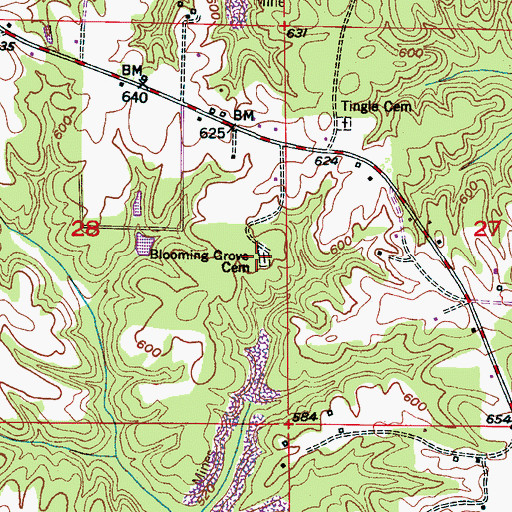 Topographic Map of Blooming Grove Cemetery, AL