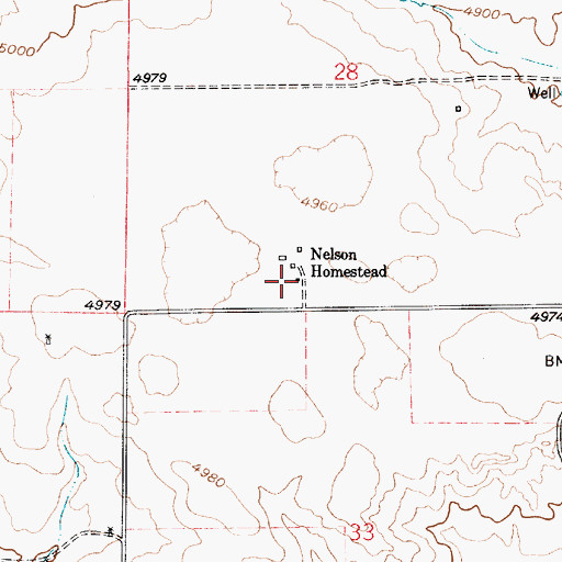 Topographic Map of Nelson Homestead, WY