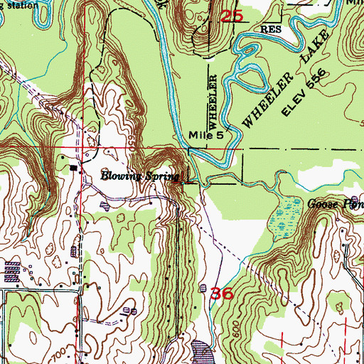 Topographic Map of Blowing Spring, AL