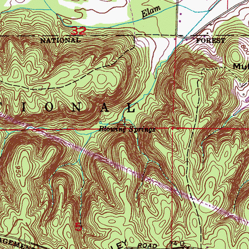 Topographic Map of Blowing Springs, AL