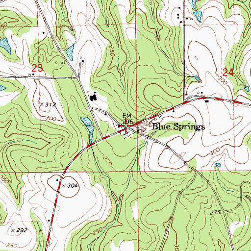 Topographic Map of Blue Springs, AL