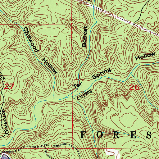 Topographic Map of Bobcat Hollow, AL