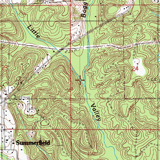 Topographic Map of Bogg Branch, AL