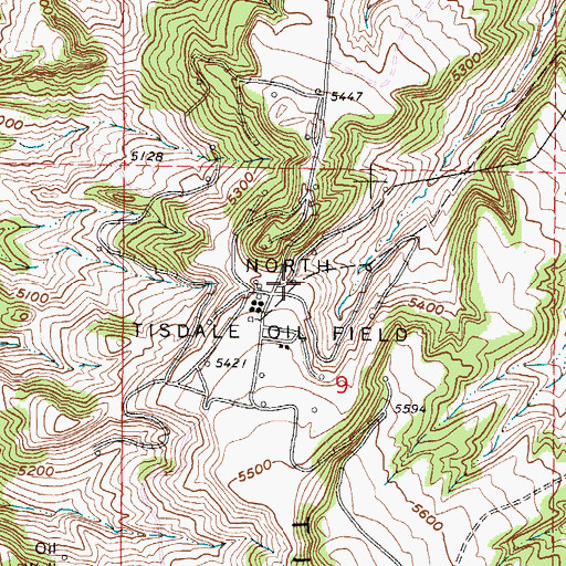 Topographic Map of North Tisdale Oil Field, WY