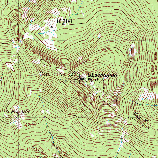 Topographic Map of Observation Peak, WY