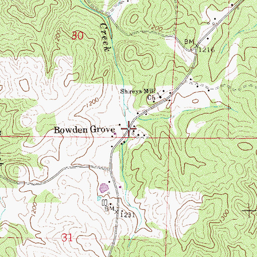Topographic Map of Bowden Grove, AL