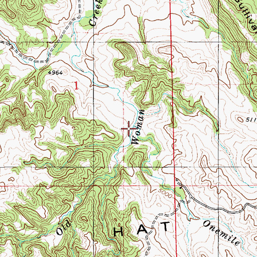 Topographic Map of Onemile Creek, WY