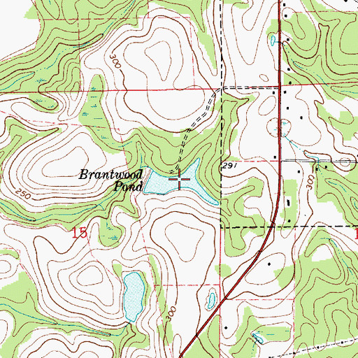Topographic Map of Brantwood Pond, AL