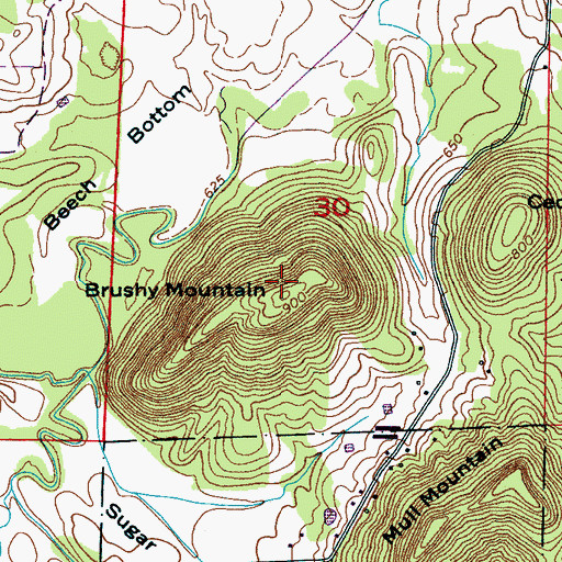 Topographic Map of Brushy Mountain, AL