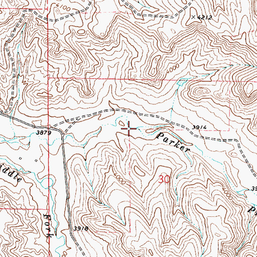 Topographic Map of Parker Prong Badger Creek, WY