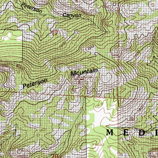 Topographic Map of Peterson Mountain, WY