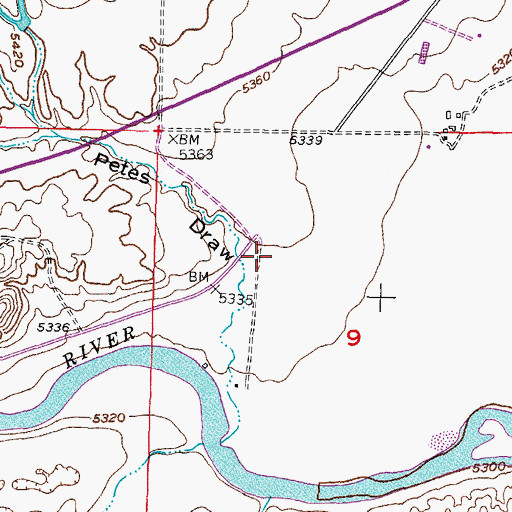 Topographic Map of Petes Draw, WY