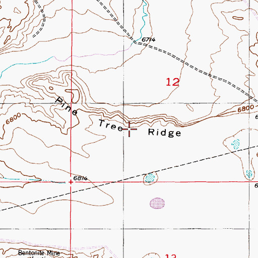 Topographic Map of Pine Tree Ridge, WY