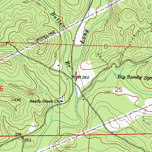 Topographic Map of Butler Branch, AL