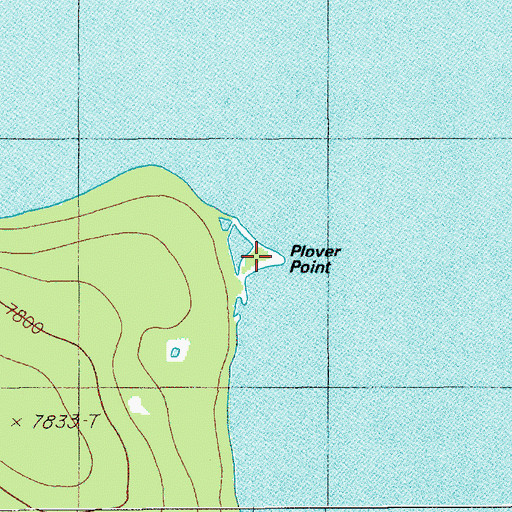Topographic Map of Plover Point, WY