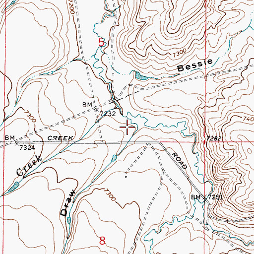Topographic Map of Randall Draw, WY