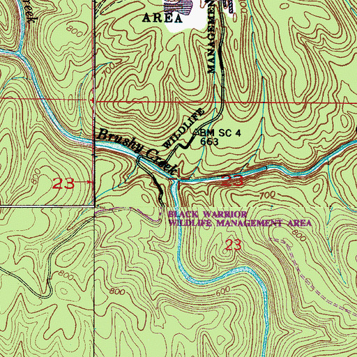 Topographic Map of Capsey Creek, AL